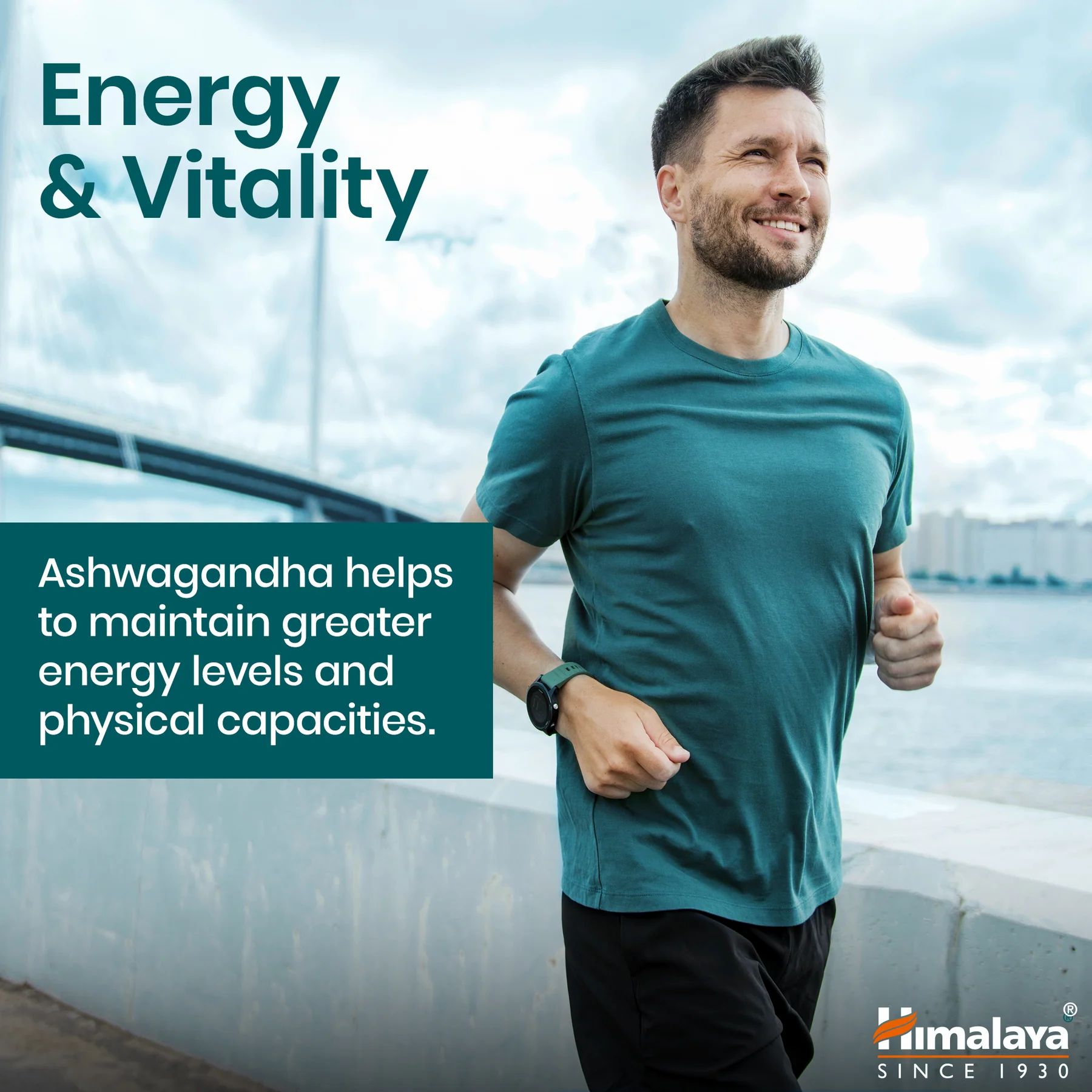 Mann joggt. Text: Energie & Vitalität, Himalaya Logo.