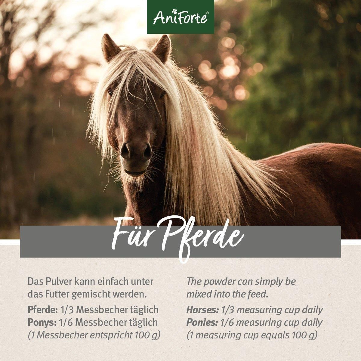 Pferd mit blonden Mähne. Text: Für Pferde. Dosierung: 1/3 Messbecher täglich. Für Ponys: 1/6 Messbecher.