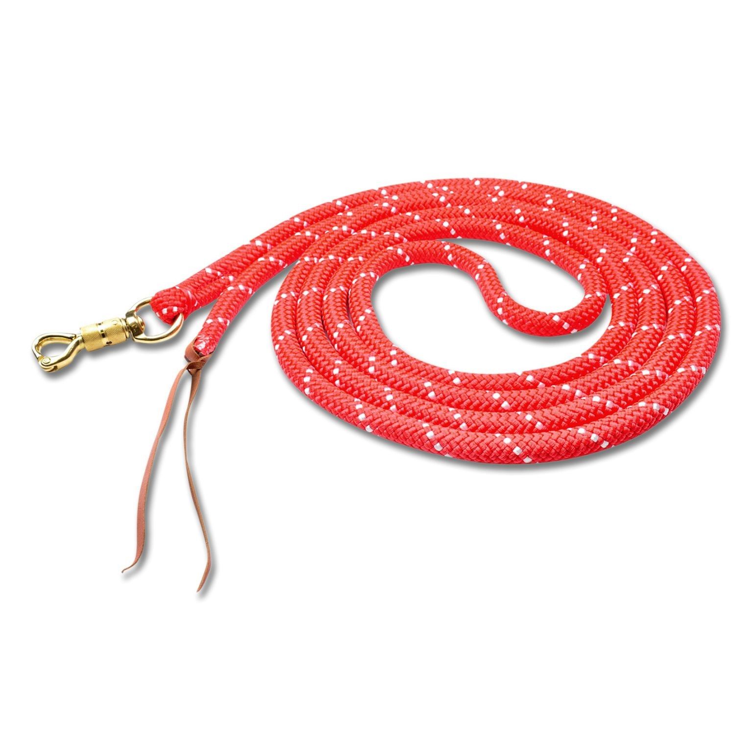 Rote Bodenleine mit weißen Punkten, Karabinerhaken und Lederriemen. Aufgerollt auf weißem Hintergrund.