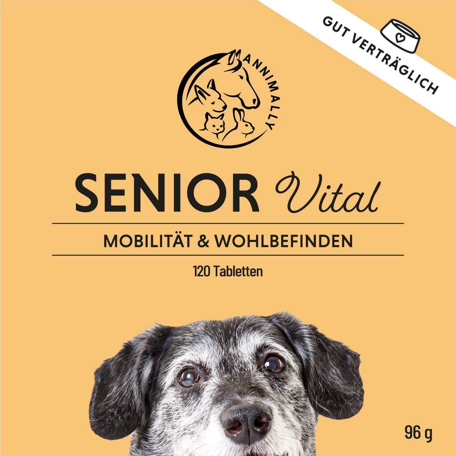 Quadratische Verpackung mit Aufschrift SENIOR Vital, 120 Tabletten. Logo: Annimally. Hund.