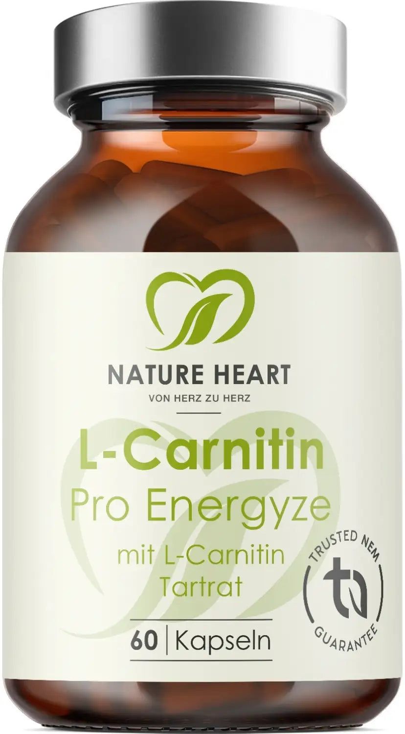 Braune Glasflasche mit weißem Etikett. Aufschrift: L-Carnitin Pro Energyze, 60 Kapseln. Logo: Nature Heart.