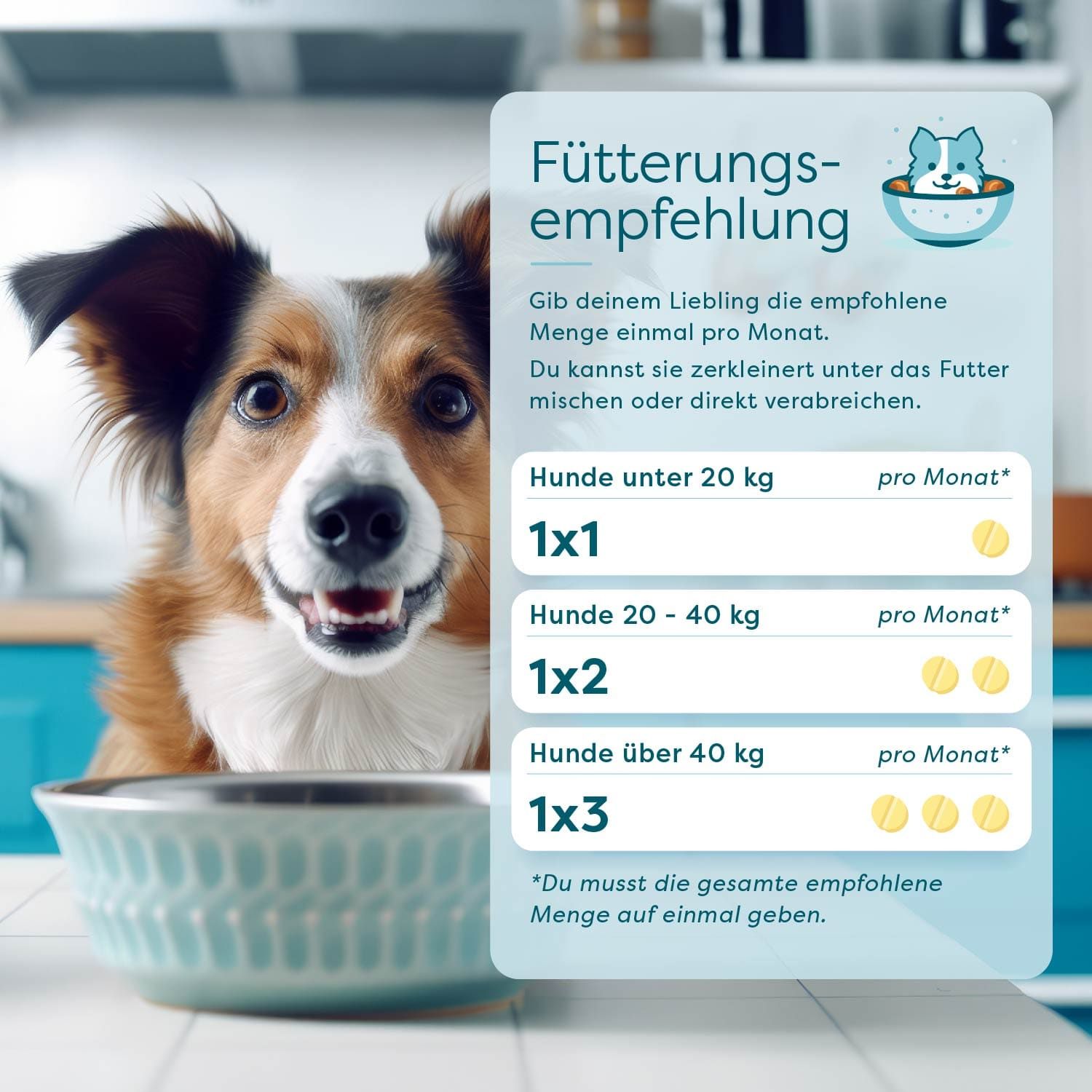 wufit Dog L - 1 Monat