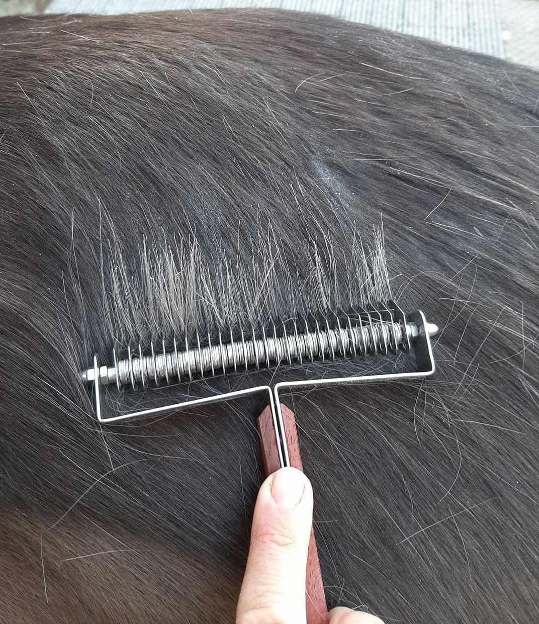 Person hält Metallstriegel mit Holzgriff an Fell. Striegel entfernt lose Haare. Dunkles Fell sichtbar.