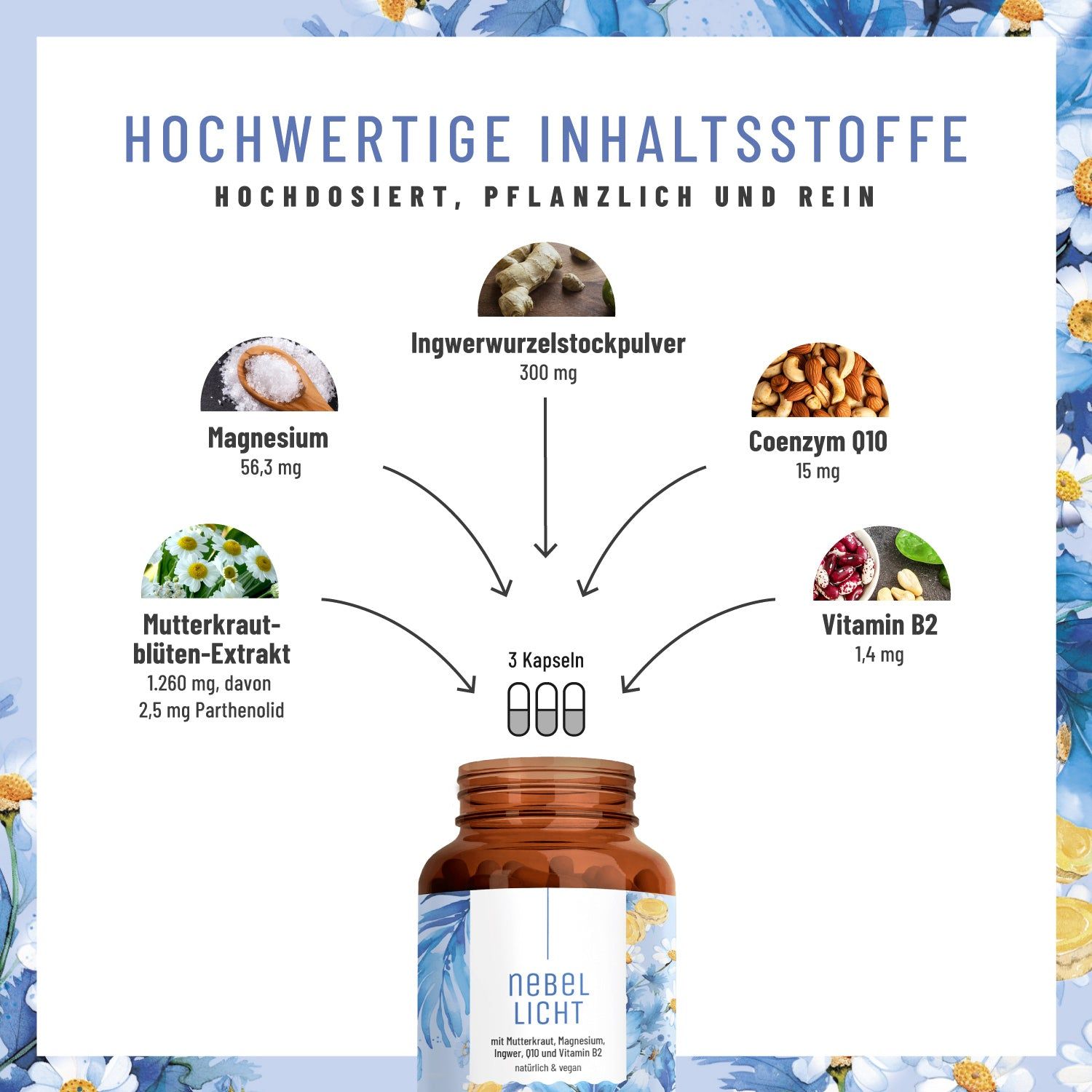 Schema der Inhaltsstoffe von Mutterkraut Komplex: Magnesium, Ingwer, CoQ10, Vitamin B2.