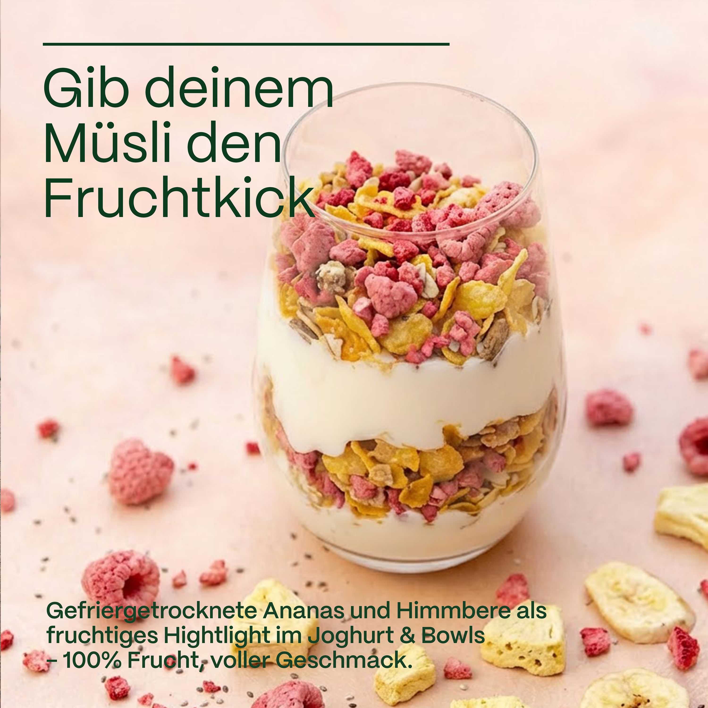 GreatVita gefriergetrocknete Ananasstücke