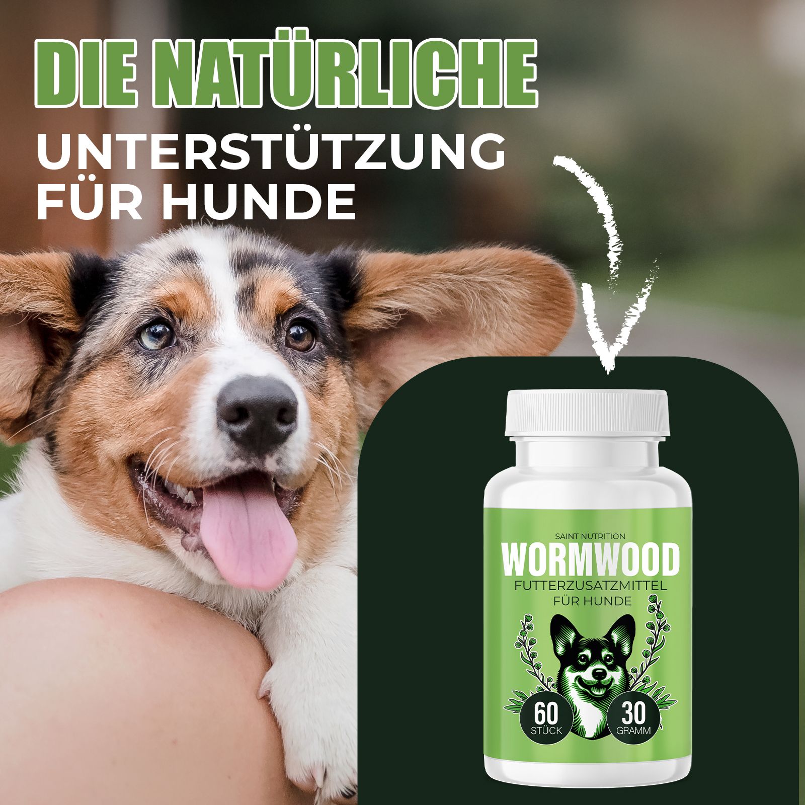 Produktflasche neben Hund. Text: Die natürliche Unterstützung für Hunde. Saint Nutrition Wurmwood Futterzusatzmittel für Hunde. 60 Stück, 30 Gramm.