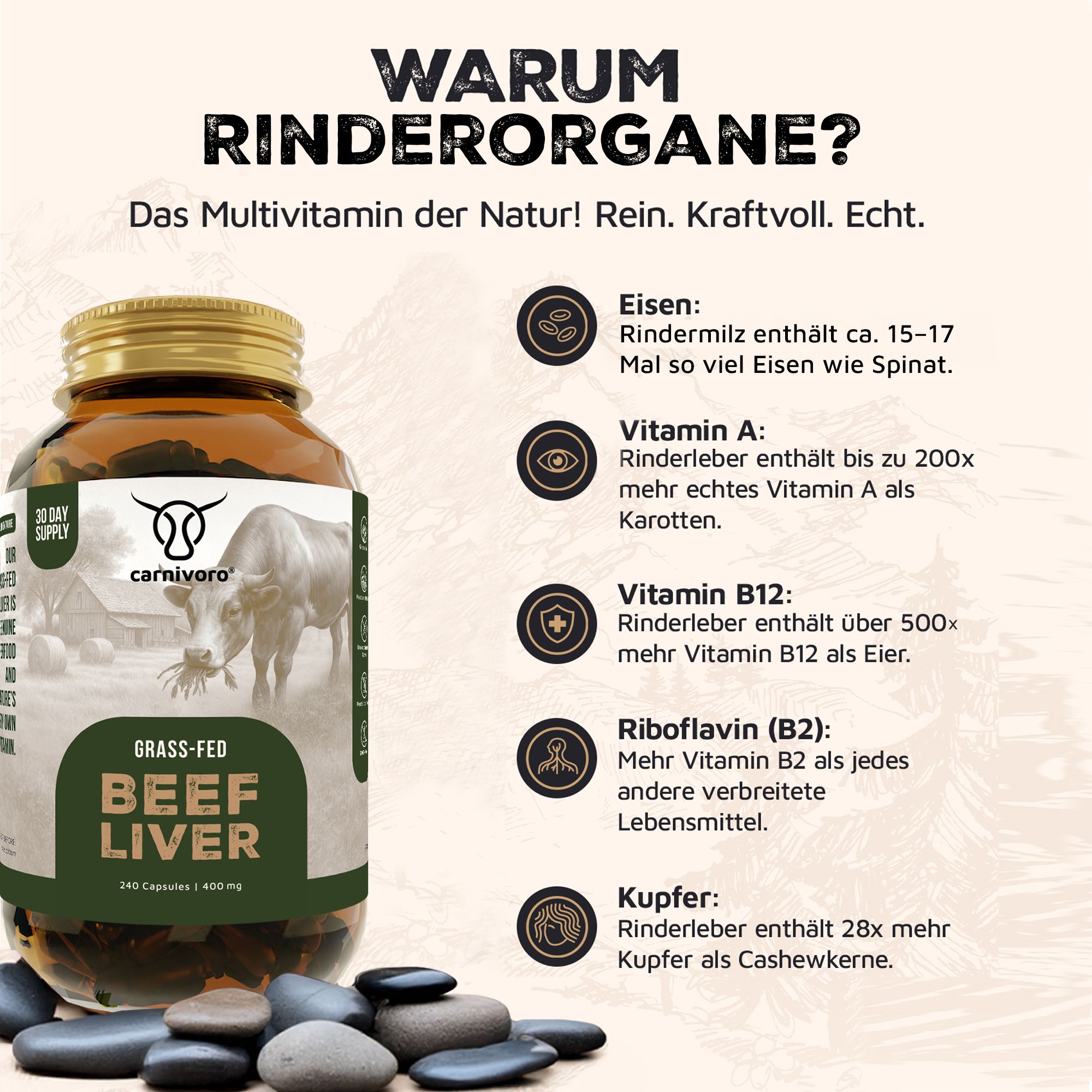 Glasflasche mit Kapseln. Aufschrift: Grass-Fed Beef Liver. Logo und Text. Illustrationen mit Nährwertangaben.