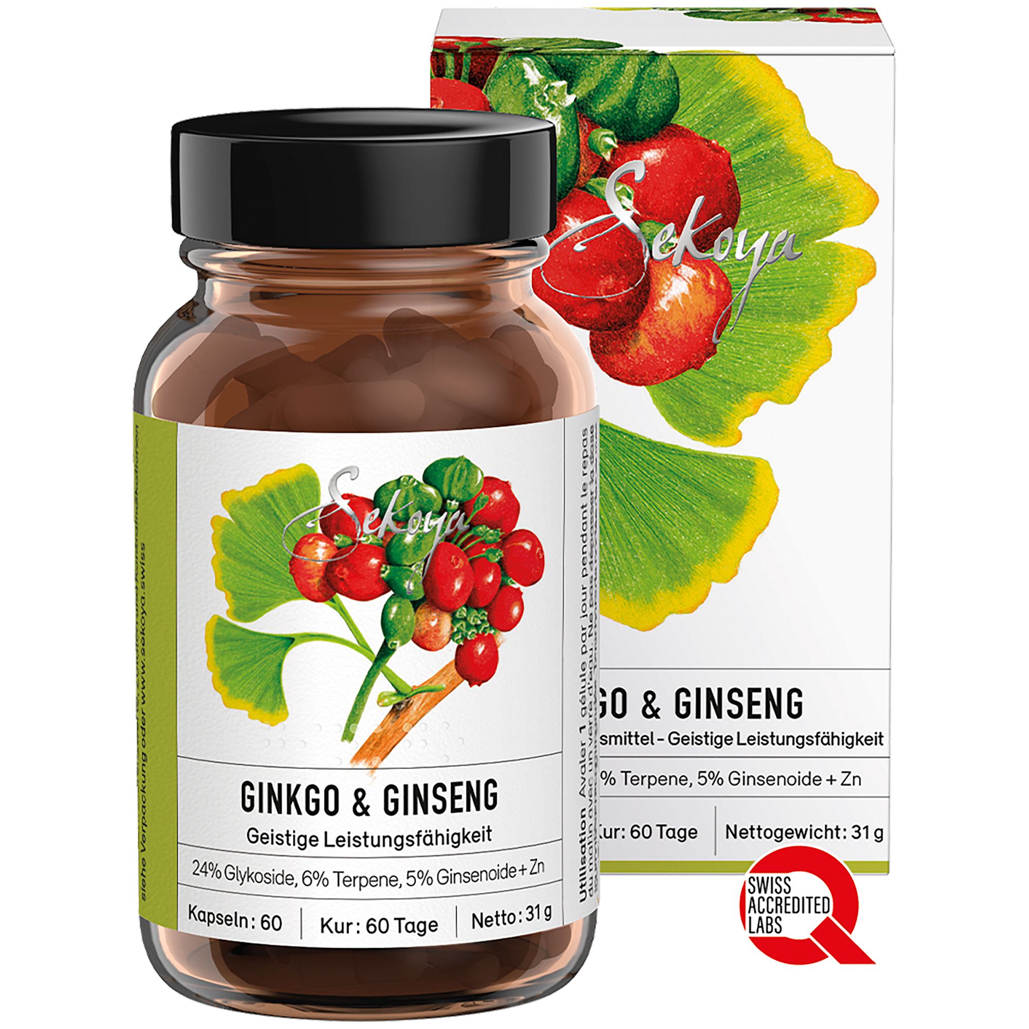 Flasche und Verpackung von Ginkgo & Ginseng Nahrungsergänzungsmitteln.