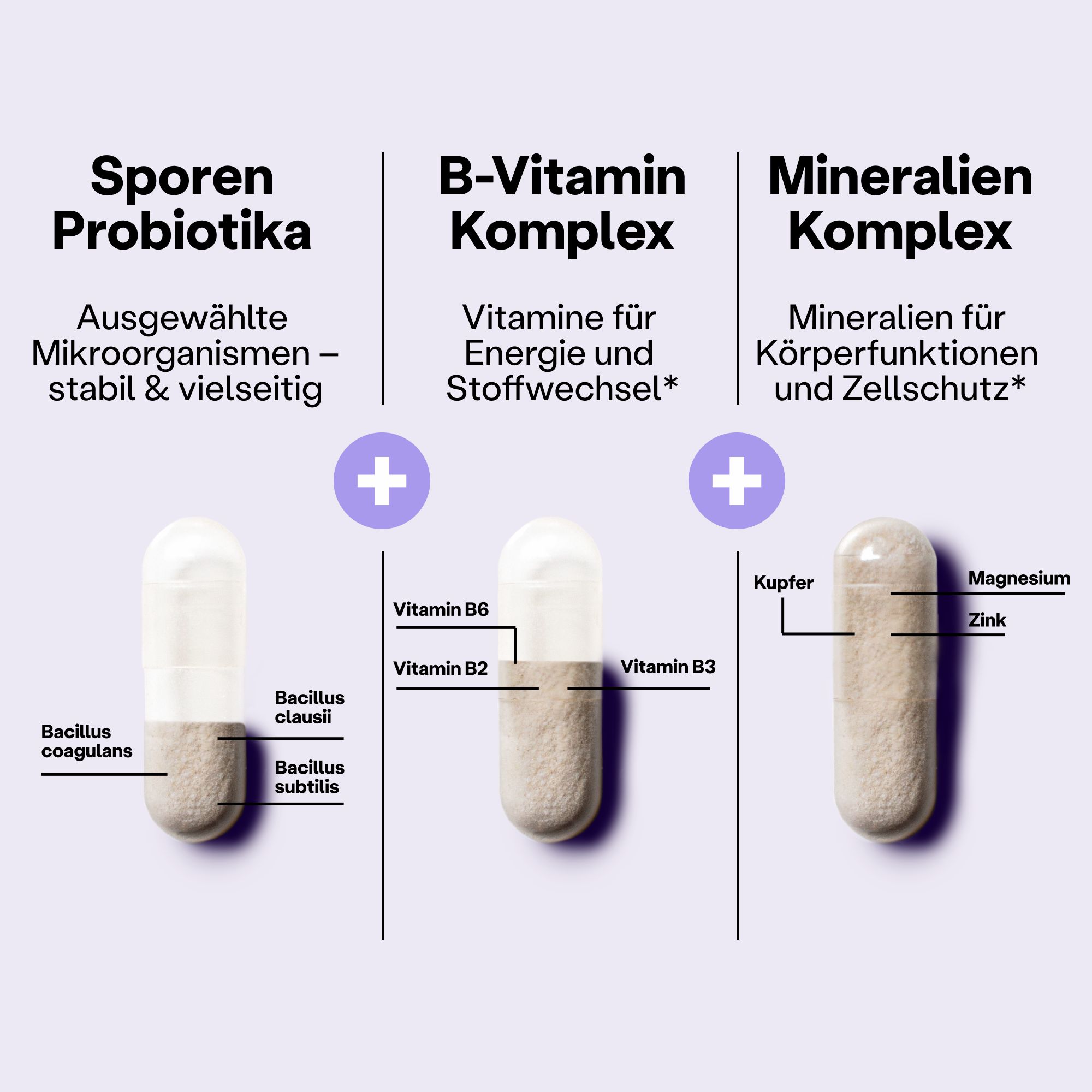 Drei Kapseln mit Inhaltsstoff-Kennzeichnungen: Sporen Probiotika, B-Vitamin Komplex, Mineralien Komplex.