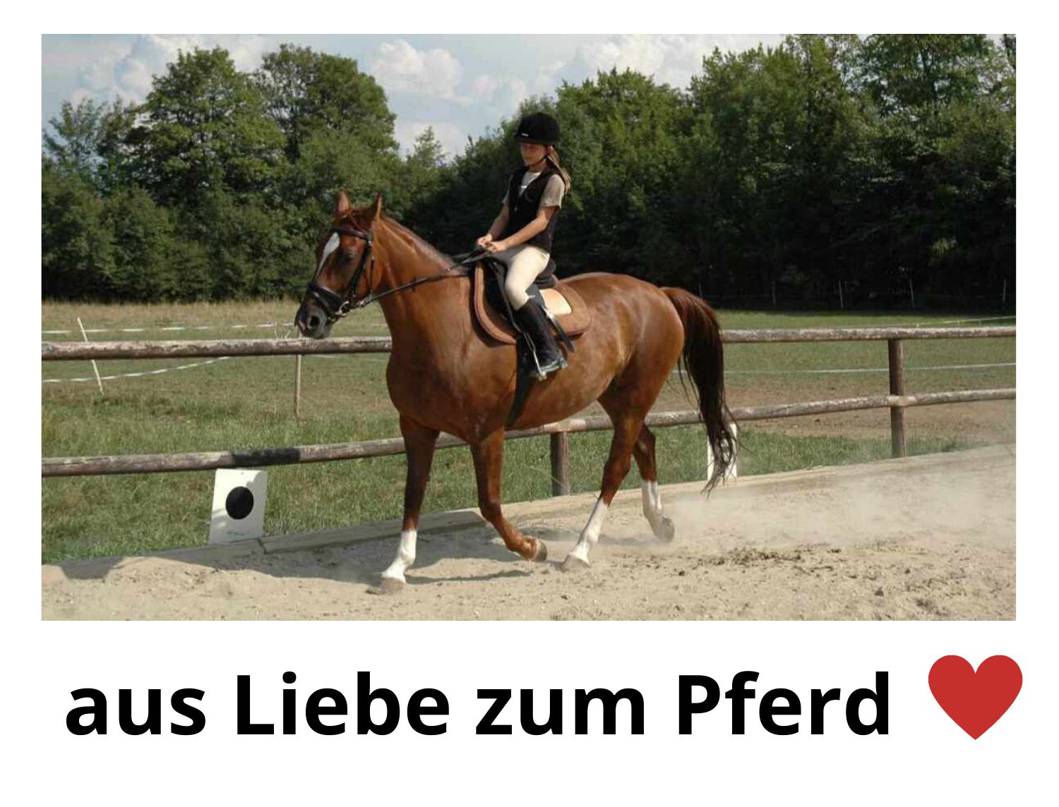 Reiterin auf einem Pferd. Braunes Pferd, schwarzer Sattel. Text: aus Liebe zum Pferd.