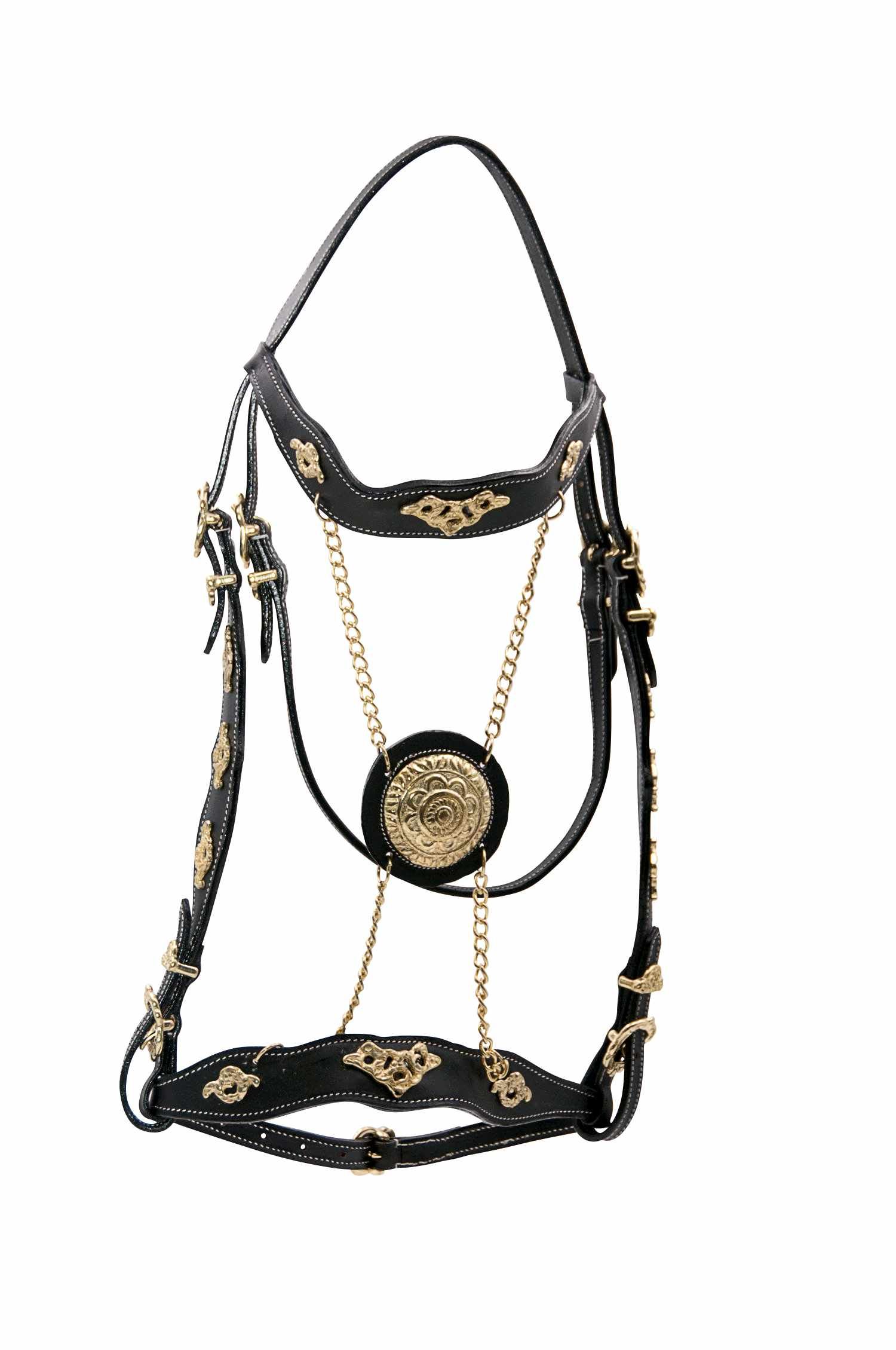 Schwarze Trense mit goldenen Verzierungen und Ketten. Enthält ein rundes, verziertes Mittelstück und goldene Schnallen.