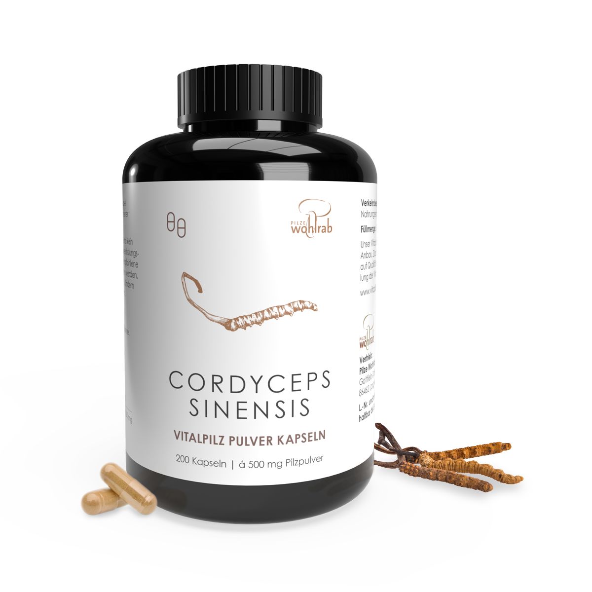 Braune Kapseln und Cordyceps-Pilze neben einer schwarzen Flasche mit Aufschrift Cordyceps Sinensis. Auf der Flasche sind weitere Informationen abgebildet.