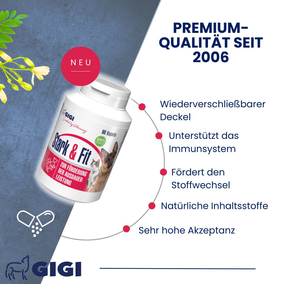 Produktverpackung mit "Stark & Fit". Wiederverschließbarer Deckel. Unterstützt Immunsystem, Stoffwechsel. Natürliche Inhaltsstoffe. Hohe Akzeptanz.