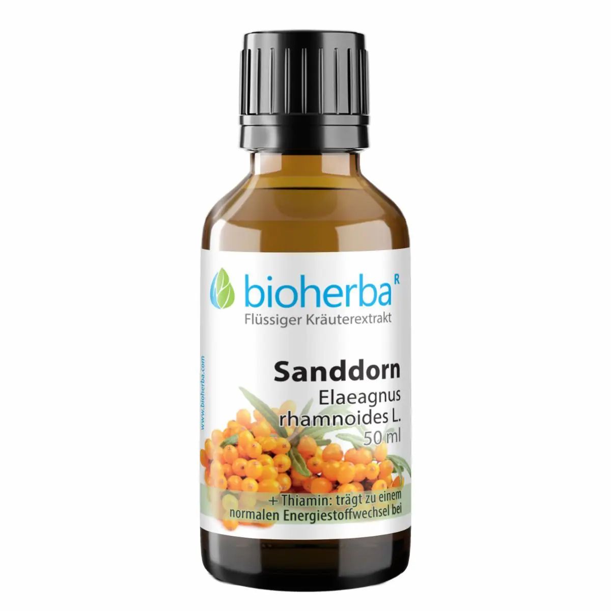 Braune Glasflasche mit schwarzem Deckel. Etikett mit Produktname, Logo und Inhaltsangaben. Sanddorn-Abbildung.