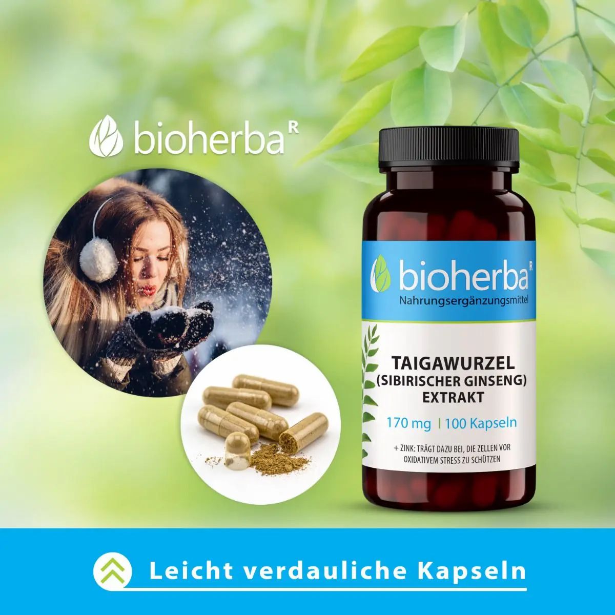 Braune Flasche mit schwarzen Deckel. Aufkleber mit Produktinformationen: Taigawurzel Extrakt, 170 mg, 100 Kapseln. Marke: Bioherba. Kapseln und Pulver.
