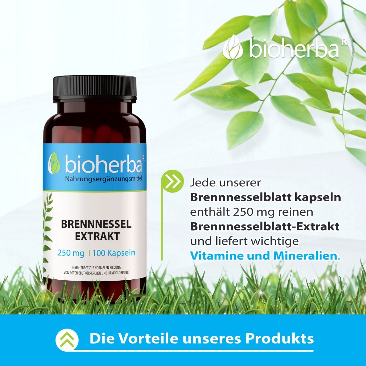 Braune Flasche mit schwarzen Deckel. Enthält Brennnessel Extrakt Kapseln. Marke: Bioherba. 250 mg, 100 Kapseln.