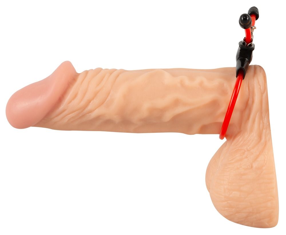 Roter Ring mit schwarzem Halter und drei roten Stäben an einem künstlichen Penis befestigt.