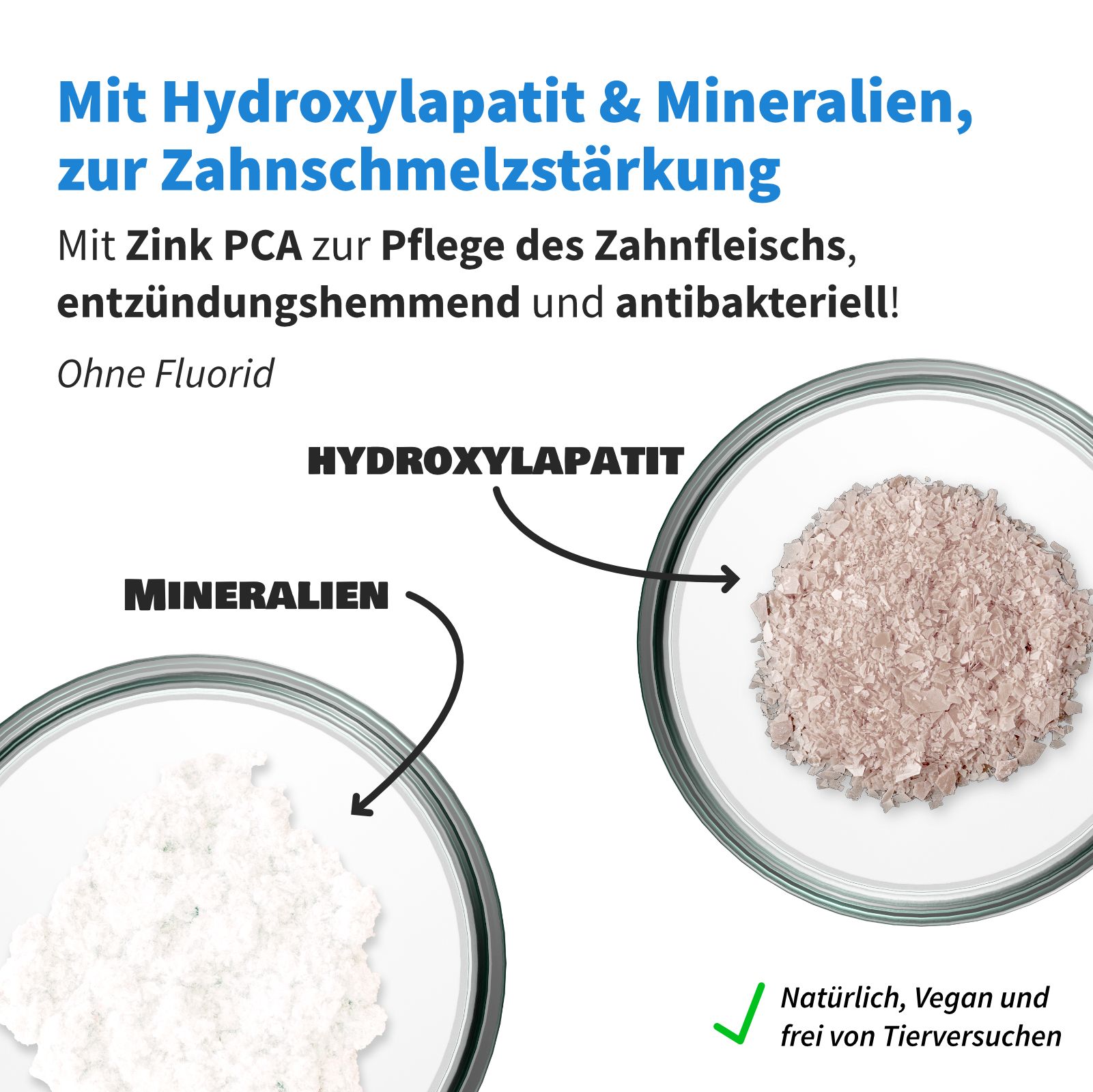 Nahaufnahme von Mineralien und Hydroxylapatit in Schalen. Text: Zur Zahnschmelzstärkung. Vegan. Ohne Fluorid.