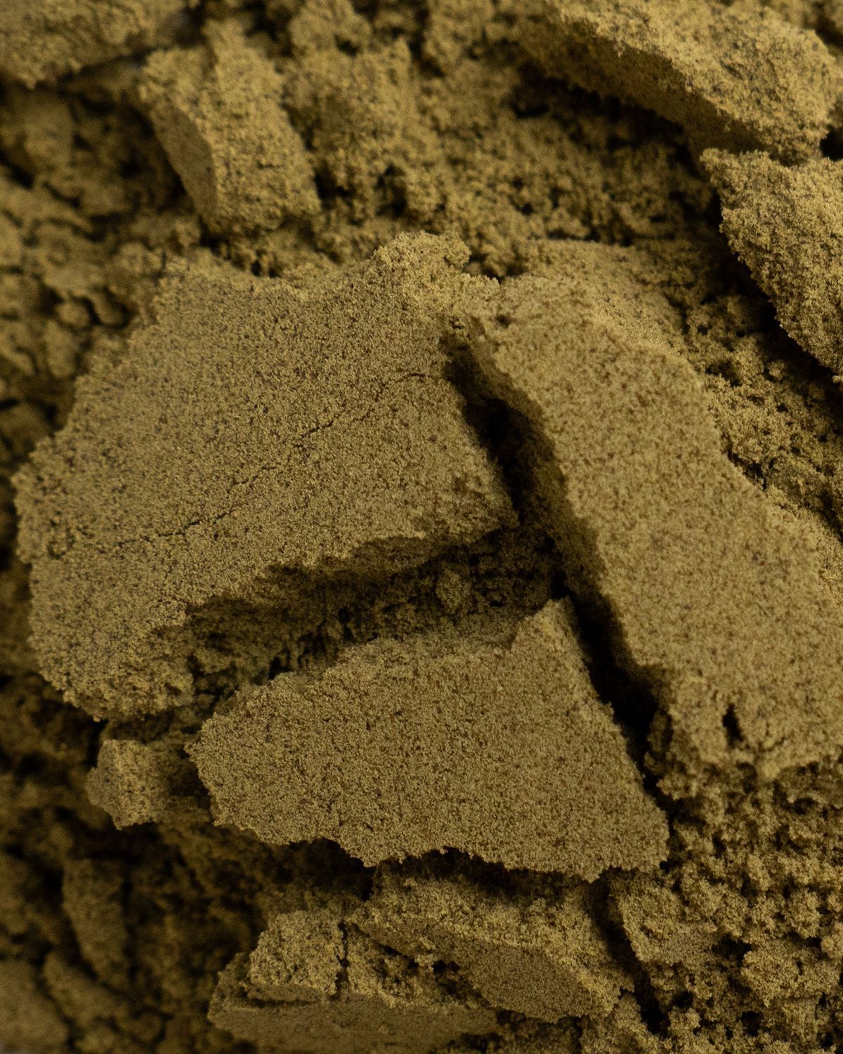 Nahaufnahme von feinem, grünem Hanfprotein Pulver.