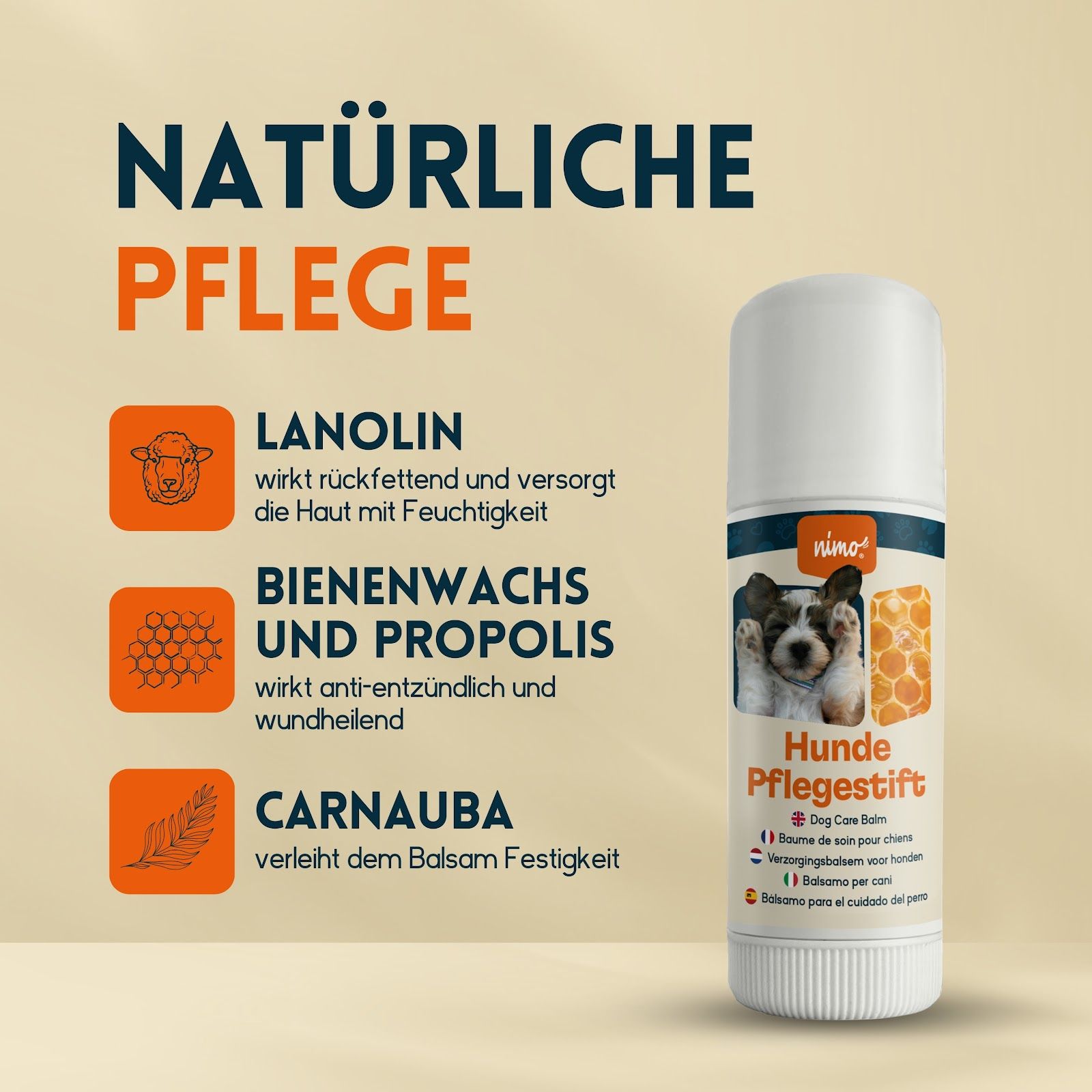 nimo Hunde Pflegestift