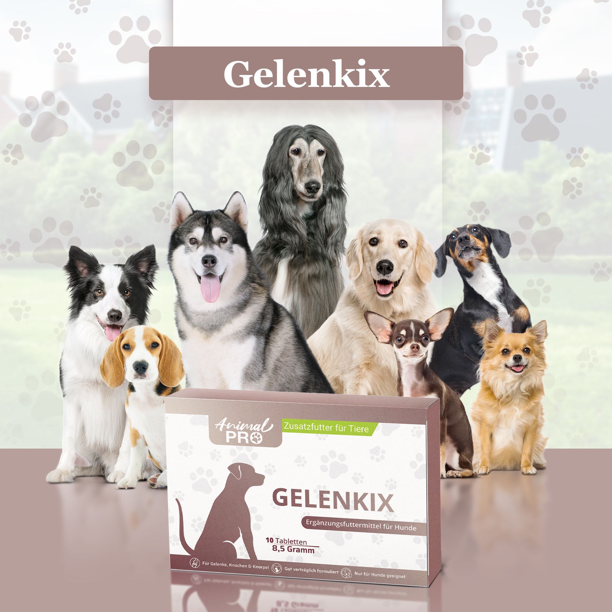 Animal Pro | Gelenkix