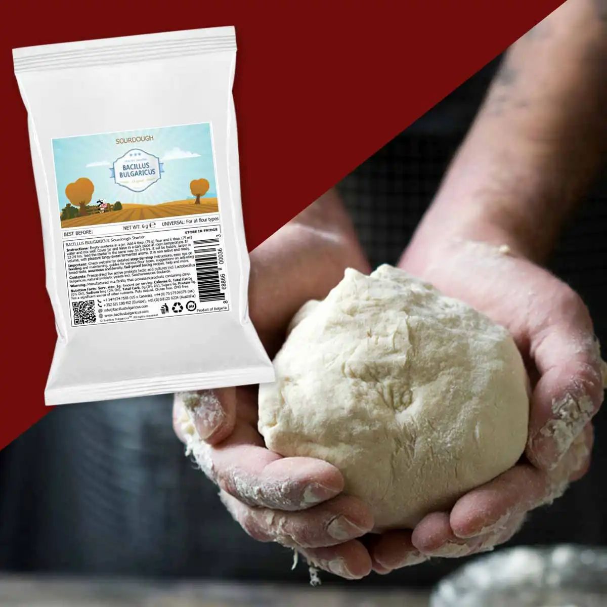 BACILLUS BULGARICUS Sauerteig-Starterkultur für echten Sauerteig