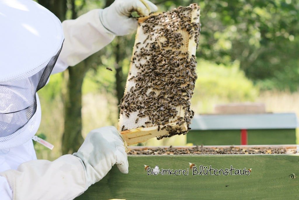 Bio Honig mit Walnuss von Bio-Imkerei Blütenstaub