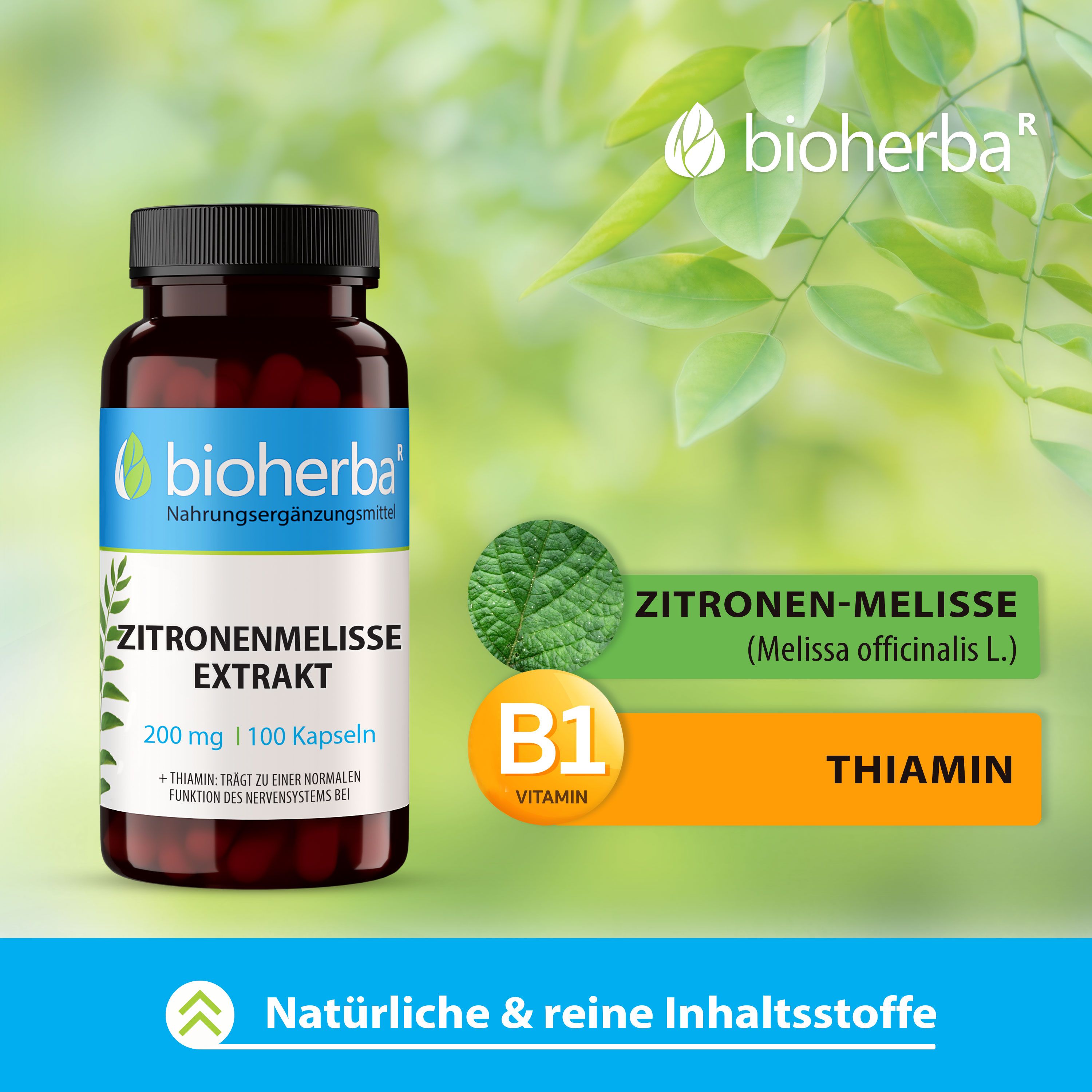 Produktflasche mit Blättern. Text: Zitronenmelisse, Vitamin B1. Marke und Produktname sind sichtbar.