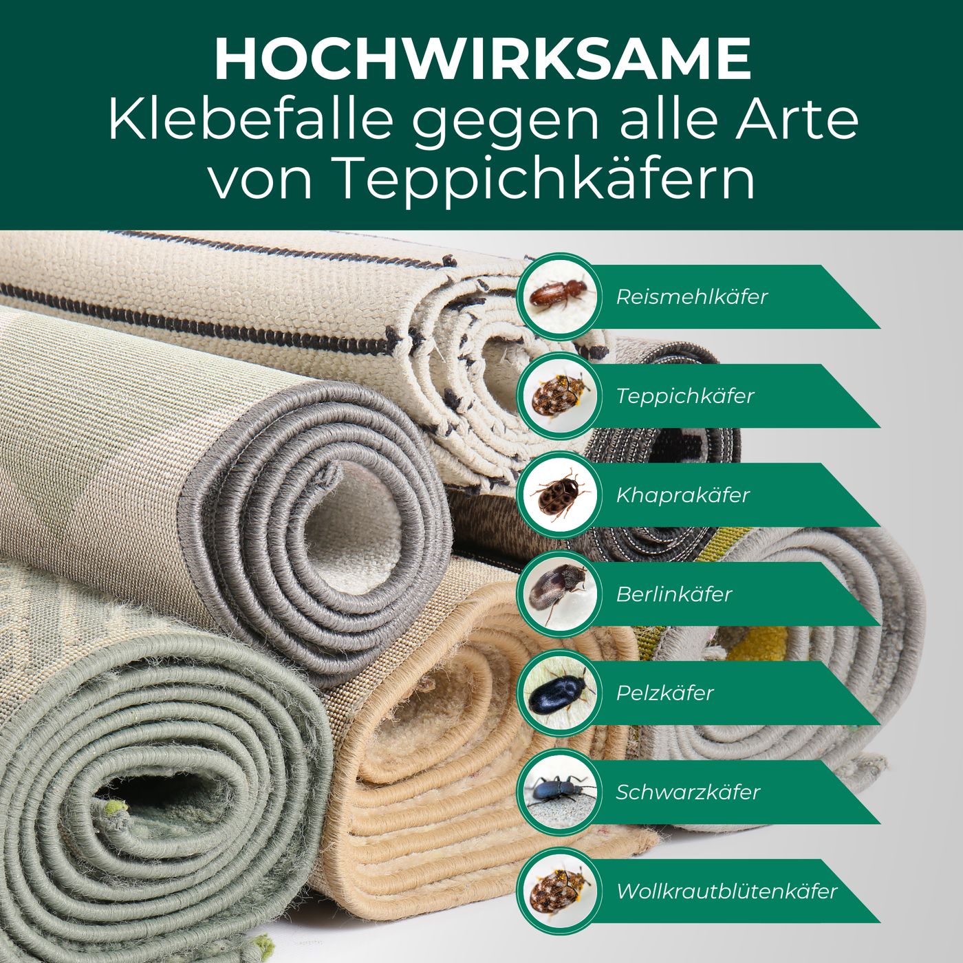 Klebefalle gegen Teppichkäfer. Abgebildet sind: Reismehlkäfer, Teppichkäfer, Khaprakäfer, Berliner Käfer, Pelzkäfer, Schwarzkäfer, Wollkrautblütenkäfer.