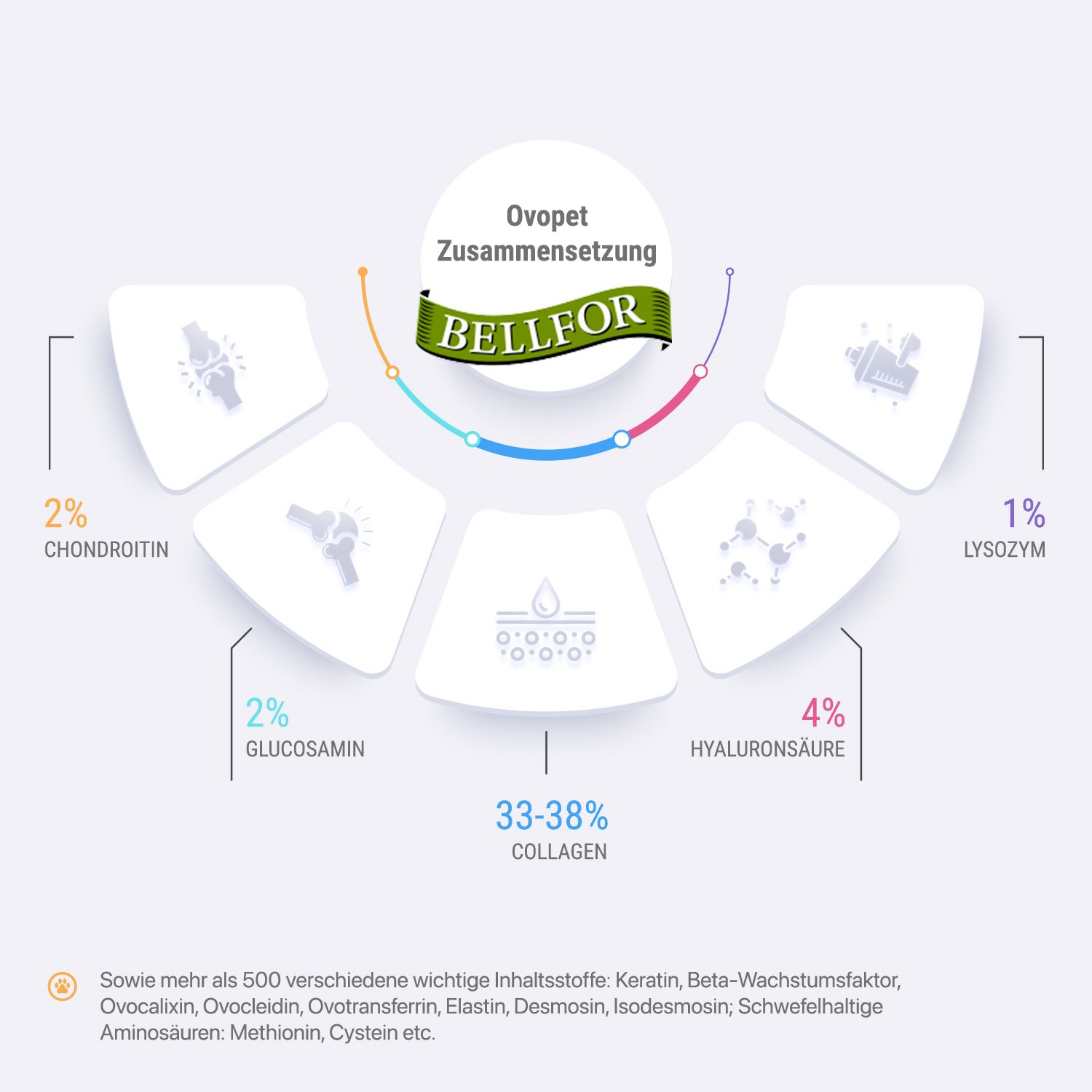 Diagramm mit Inhaltsstoffen.  BELLFOR-Logo.  Anteile: Chondroitin 2%, Glucosamin 2%, Kollagen 33-38%, Hyaluronsäure 4%, Lysozym 1%.