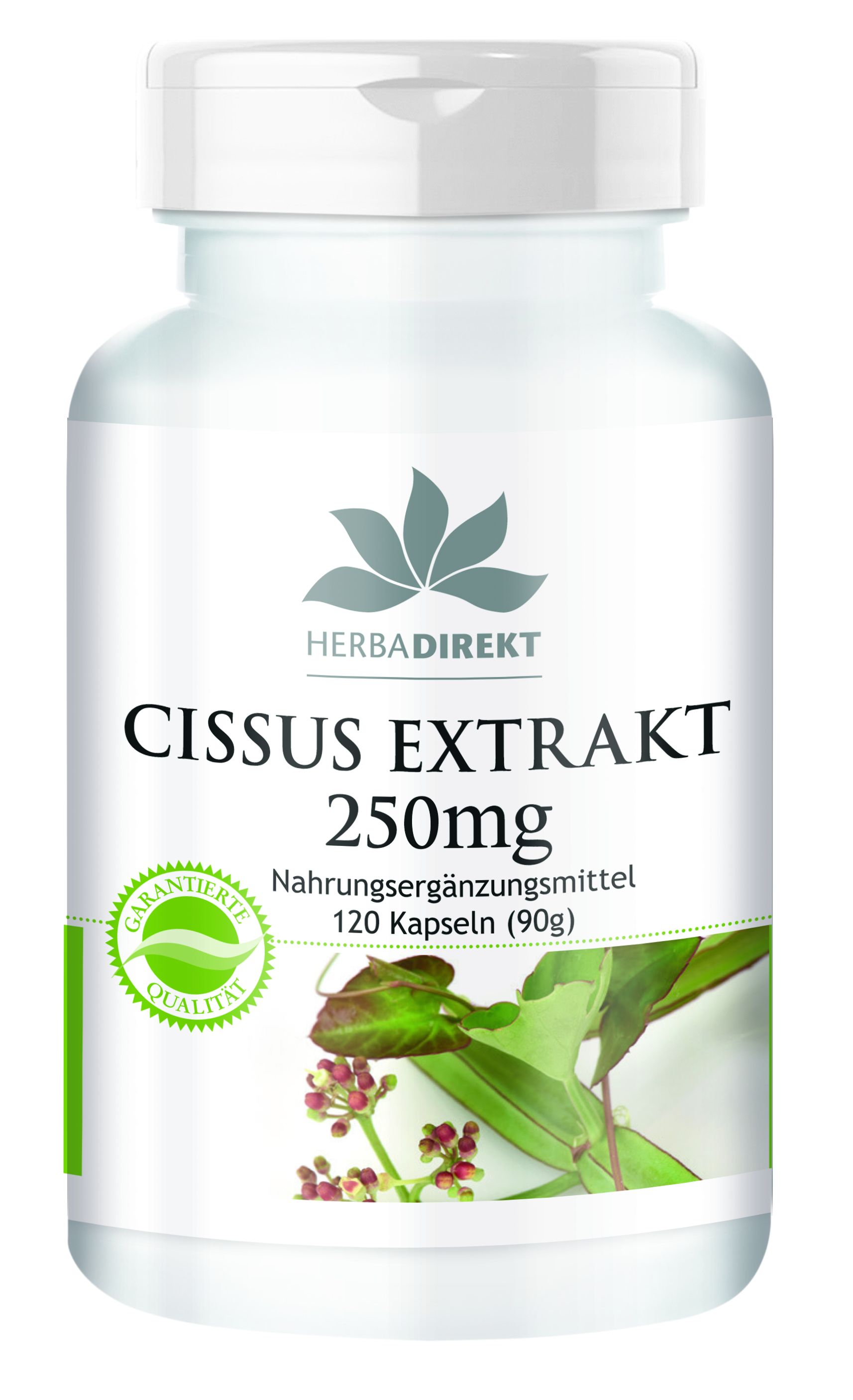 Weiße Flasche mit Kapseln. Aufschrift: Cissus Extrakt 250mg. HerbaDirekt Logo. Grün-weißes Qualitätssiegel. 120 Kapseln.