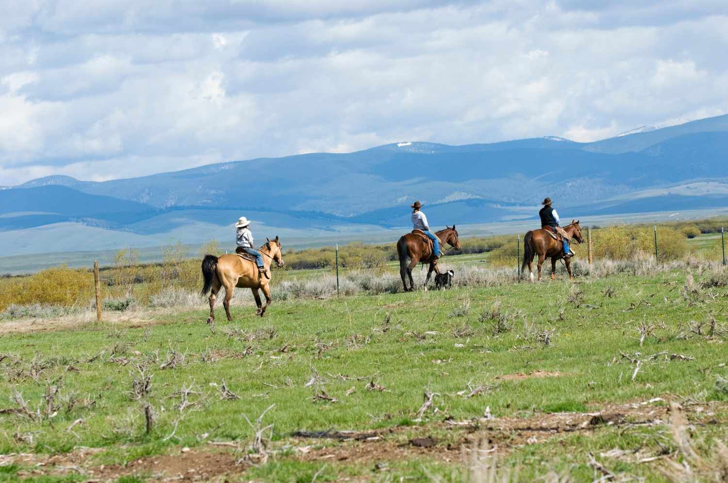 Drei Personen reiten auf Pferden auf einer Wiese. Im Hintergrund Berge und blauer Himmel.