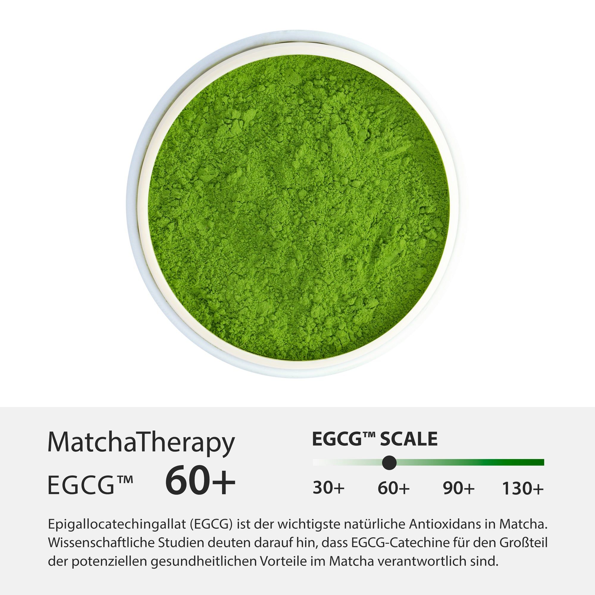 Draufsicht auf grünes Matcha-Pulver in einer Schale. EGCG-Skala mit Text und Informationen zu Antioxidantien.