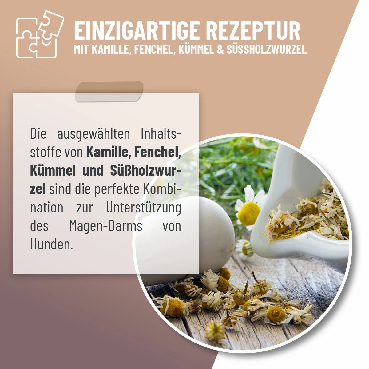 Kamille, Fenchel, Kümmel und Süßholzwurzel. Kräuter in Schale. Text: Einzigartige Rezeptur.