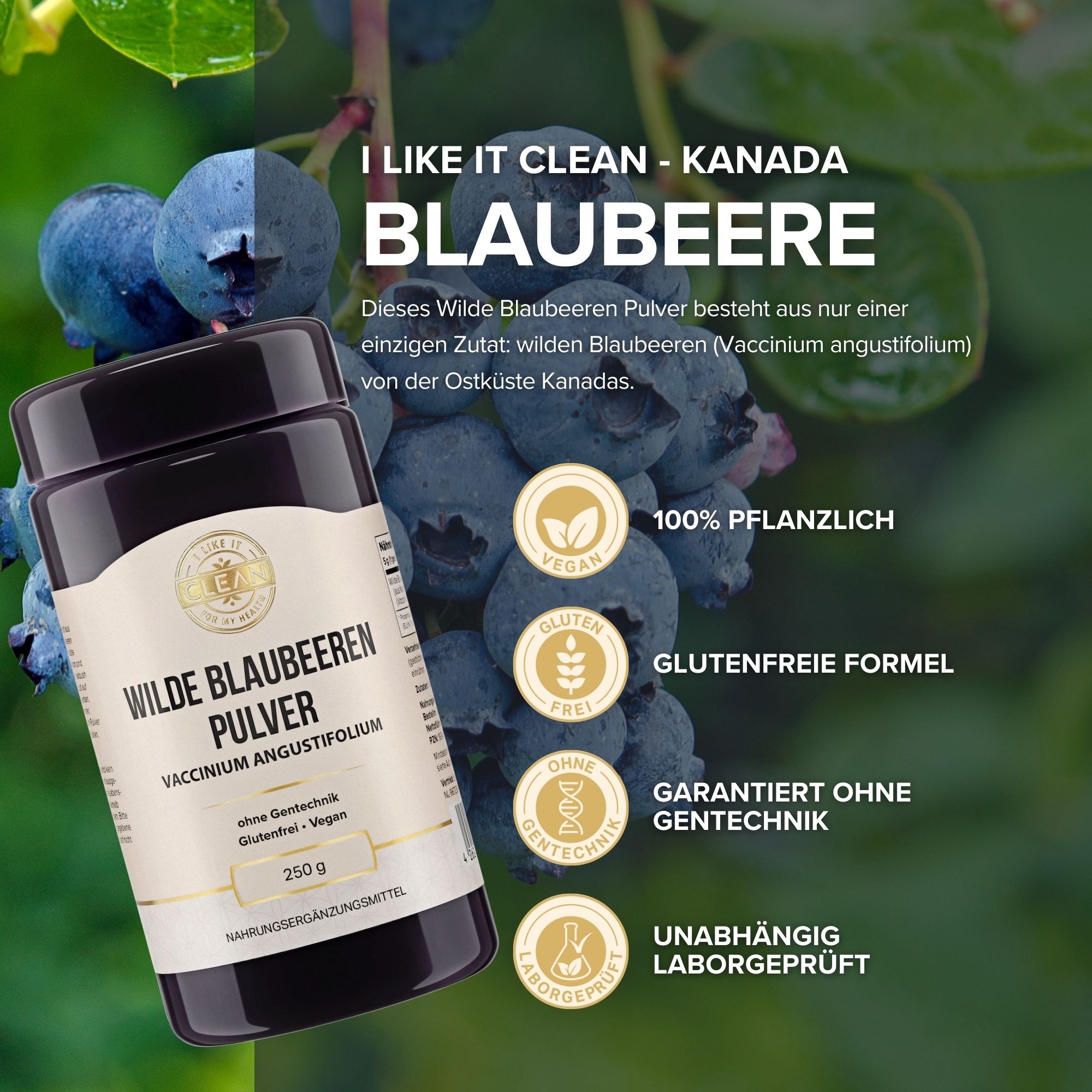 Dunkle Dose mit Pulver. Aufschrift: Wilde Blaubeeren Pulver. Logos: Vegan, glutenfrei, ohne Gentechnik, laborgeprüft.