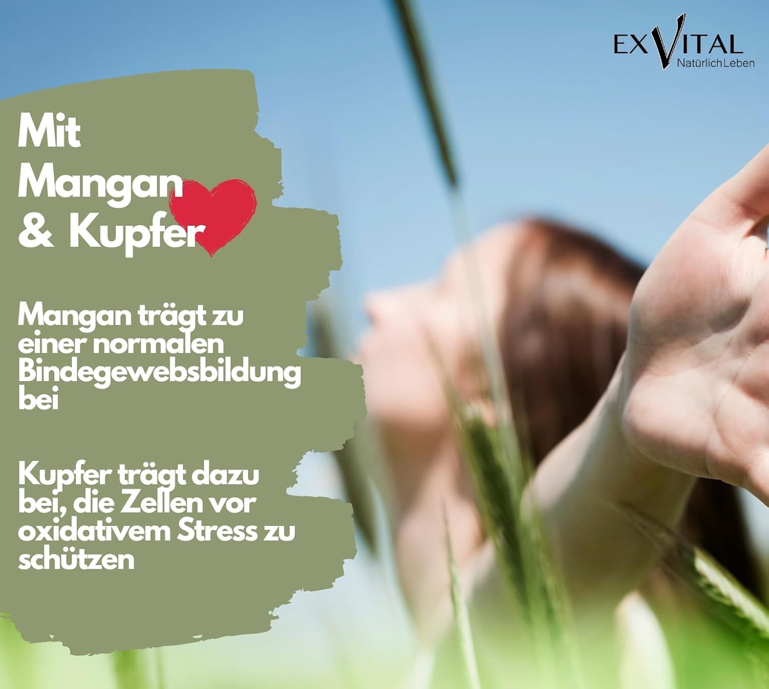 EXVital® Brennnessel Komplex mit Weinreben & Rosskastanien