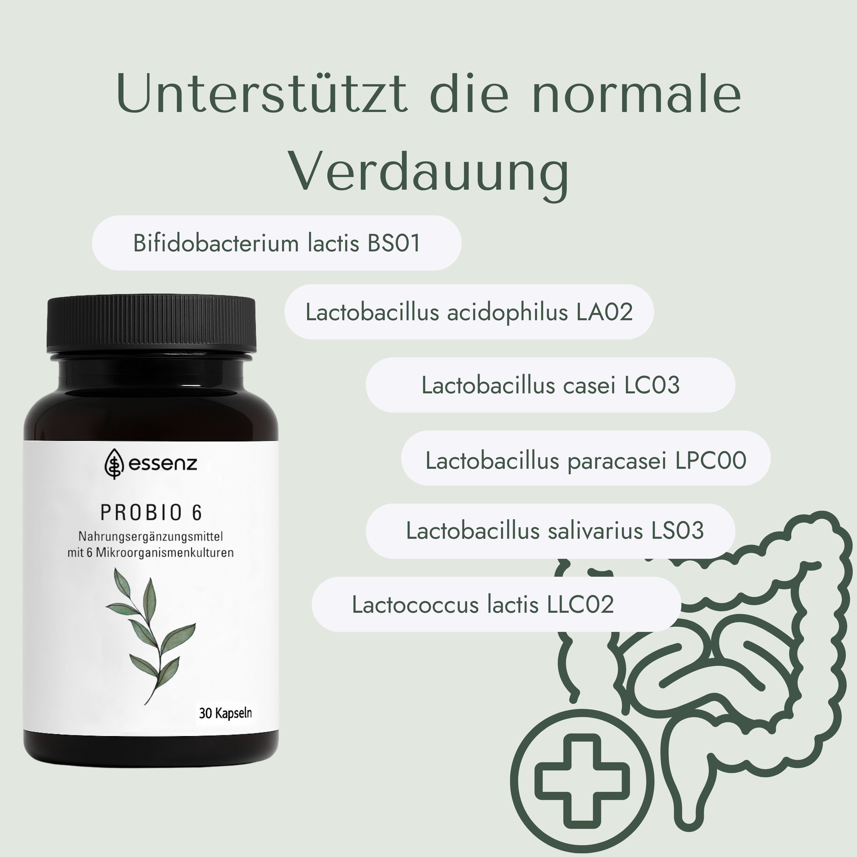 ESSENZ Probio 6 – 6 Bakterienstämme mit 10 Milliarden KBE & Inulin – Probiotische Kulturen
