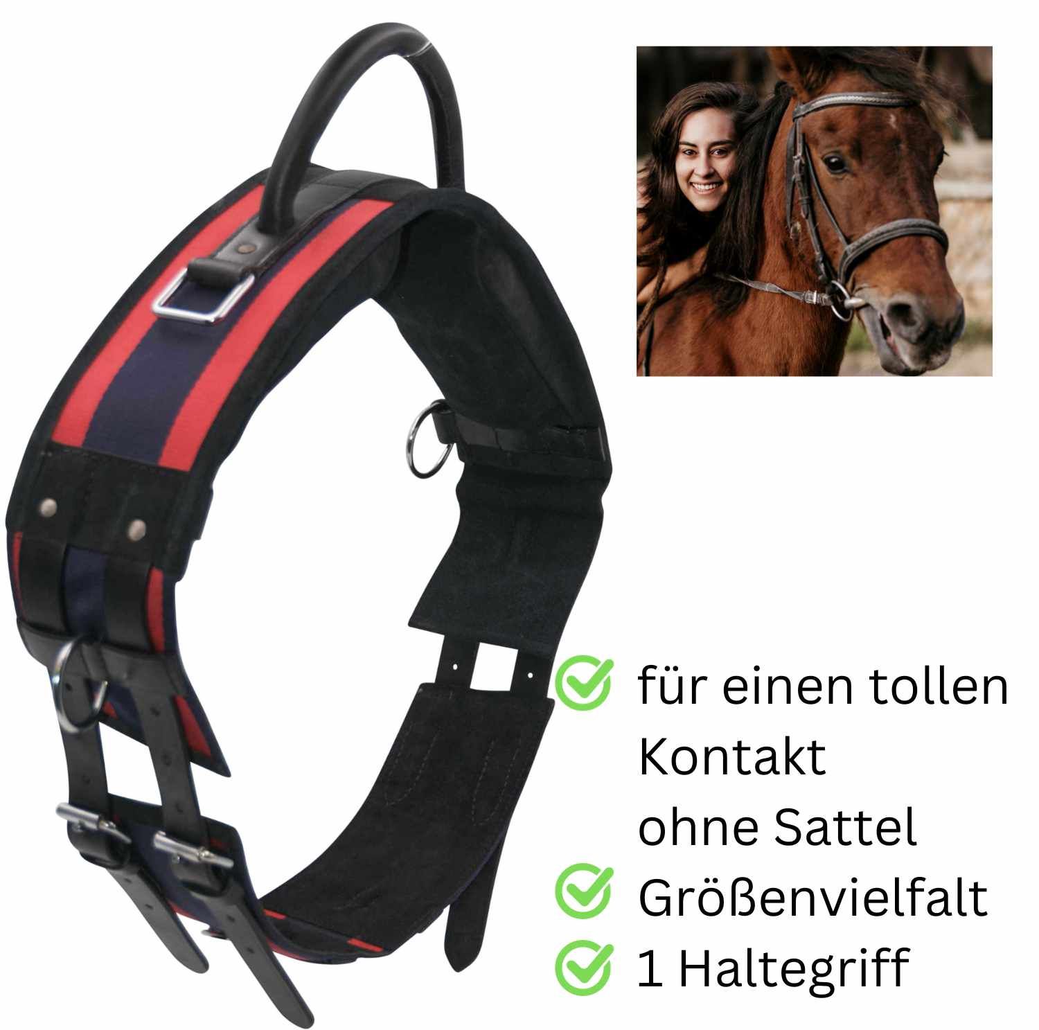 Longiergurt mit Handgriff, schwarz mit roten und blauen Streifen, mit Pferd und Reiterin.