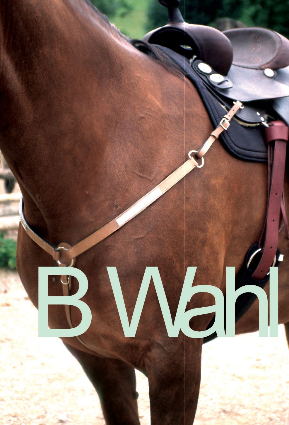Pferd mit Sattel und Vorderzeug. Text: B Wahl.