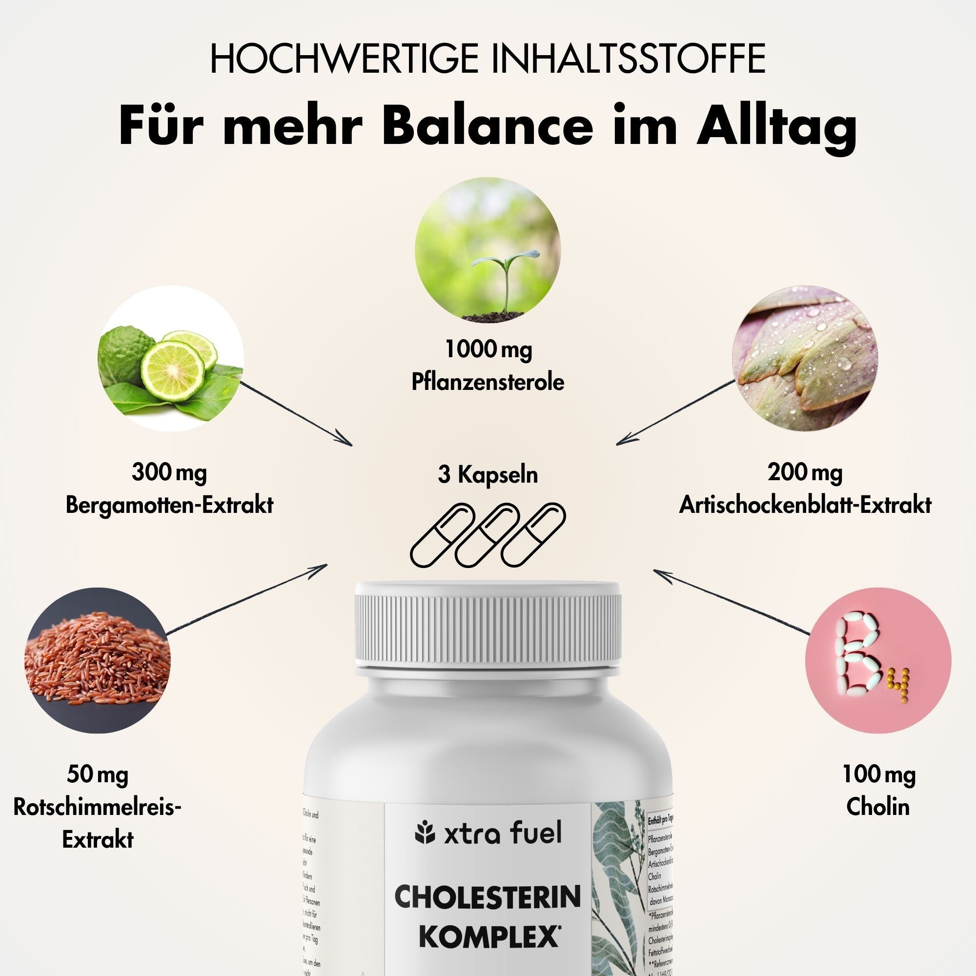 Weiße Flasche mit Etikett. Aufschrift: Cholesterin Komplex. Inhaltsstoffe: Pflanzensterole, Bergamotte, Artischockenblatt-Extrakt, Cholin.