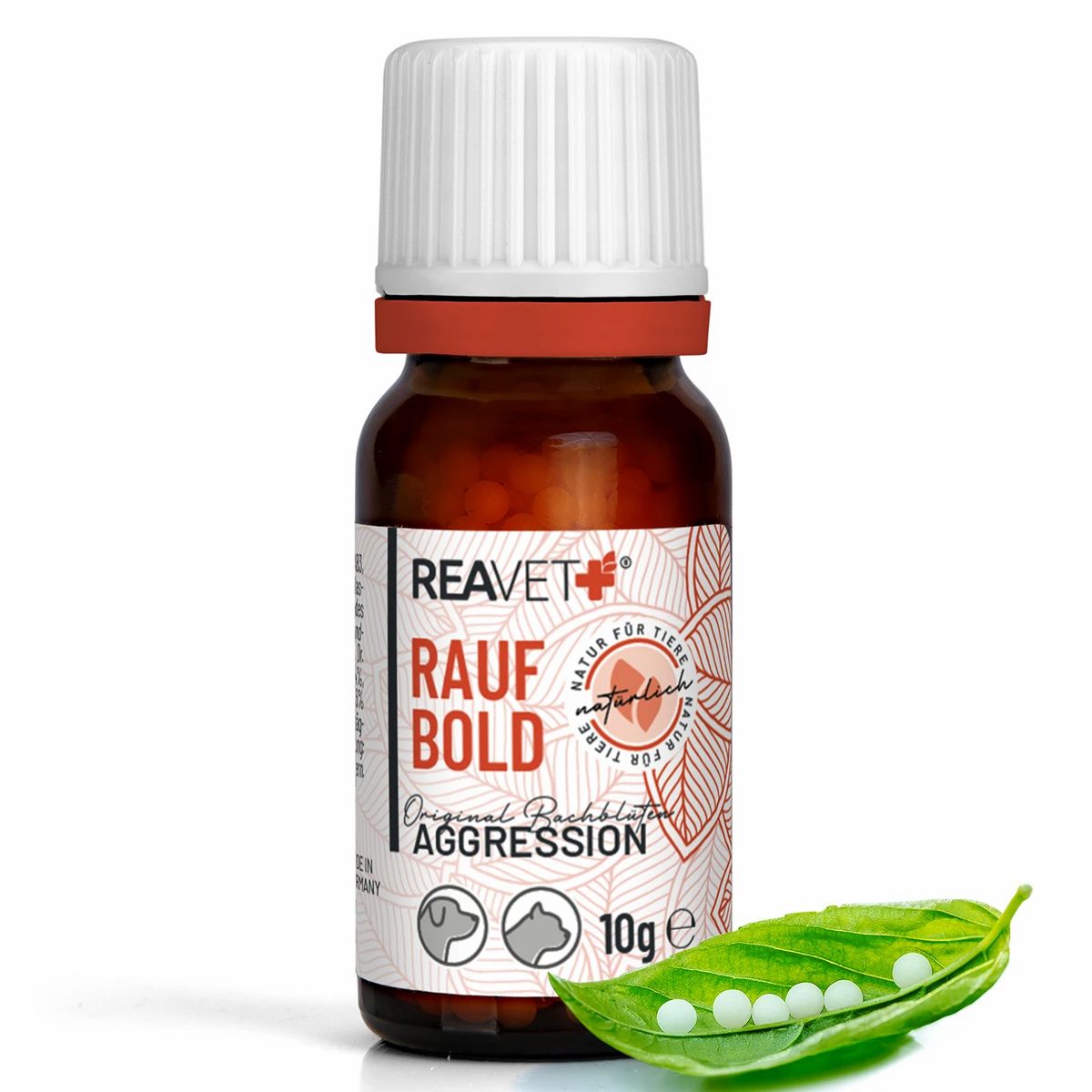 Braune Glasflasche mit weißem Schraubverschluss, Etikett mit "RAUF BOLD" und 10g Angabe. Daneben eine grüne Hülse mit Globuli.