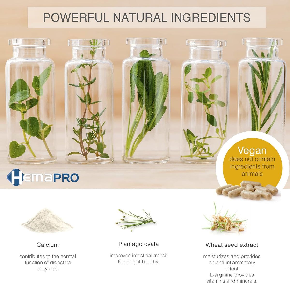 HemaPRO-Kapseln und Inhaltsstoffe. Pflanzen in Gläsern. Vegan-Siegel. Calcium, Plantago ovata, Weizenkeimextrakt.