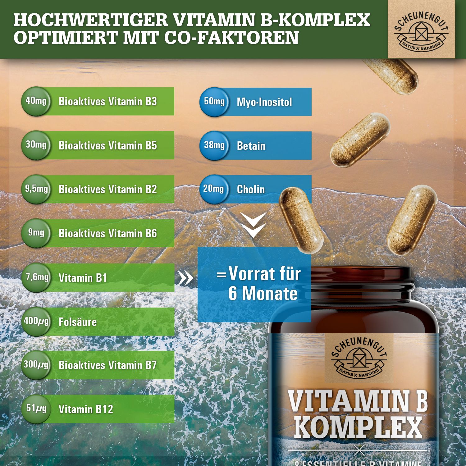 Scheunengut Vitamin B Komplex: Liste der B-Vitamine, Co-Faktoren und Mengen. Braune Flasche und Kapseln.