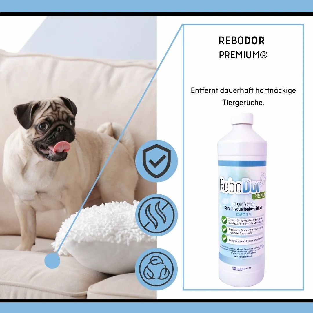 ReboDor Premium mit Hund auf Sofa, Flasche daneben.