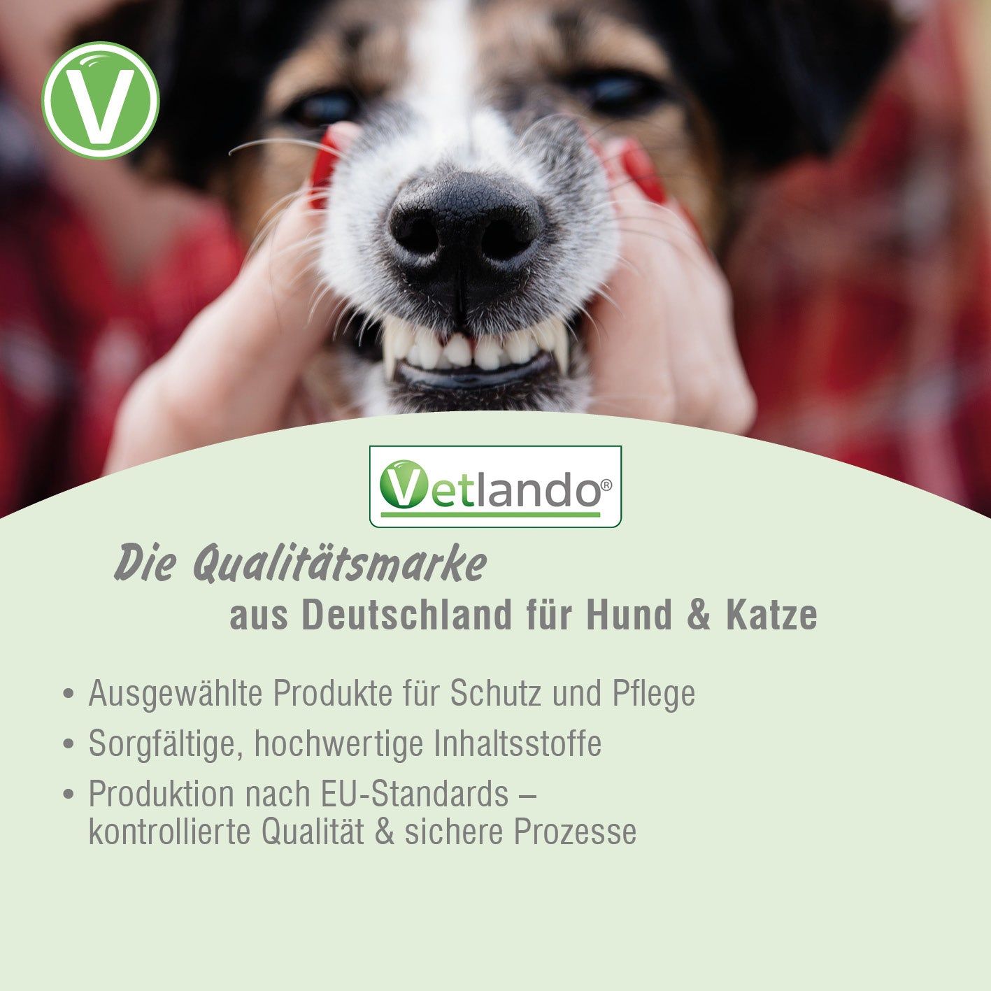 Vetlando Zahnpflege-Spray