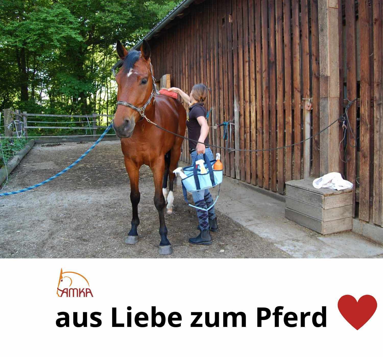 AMKA Putzkiste befüllt