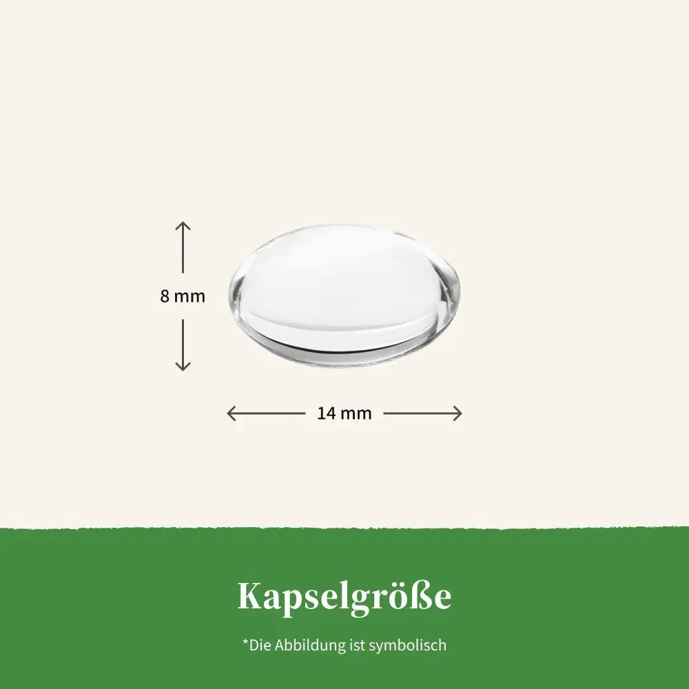 Kapsel mit Maßangaben: 8 mm x 14 mm. Aufschrift: Kapselgröße. Grüne Fläche unten.