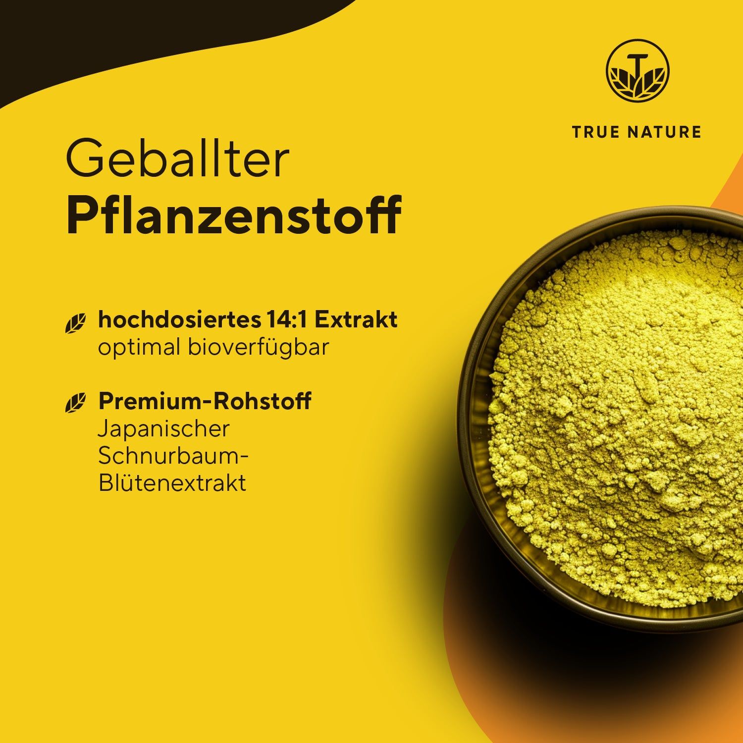 Schale mit gelbem Quercetin-Pulver, hochdosiertes 14:1 Extrakt, Premium-Rohstoff Japanischer Schnurbaum.