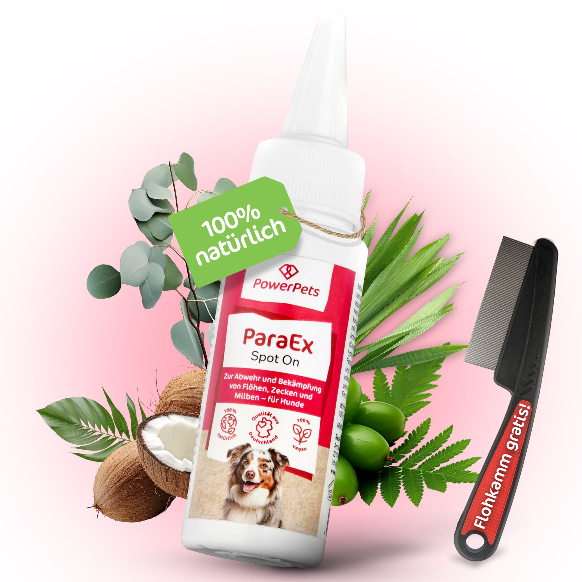 ParaEx - SpotOn für Hunde - 40ml