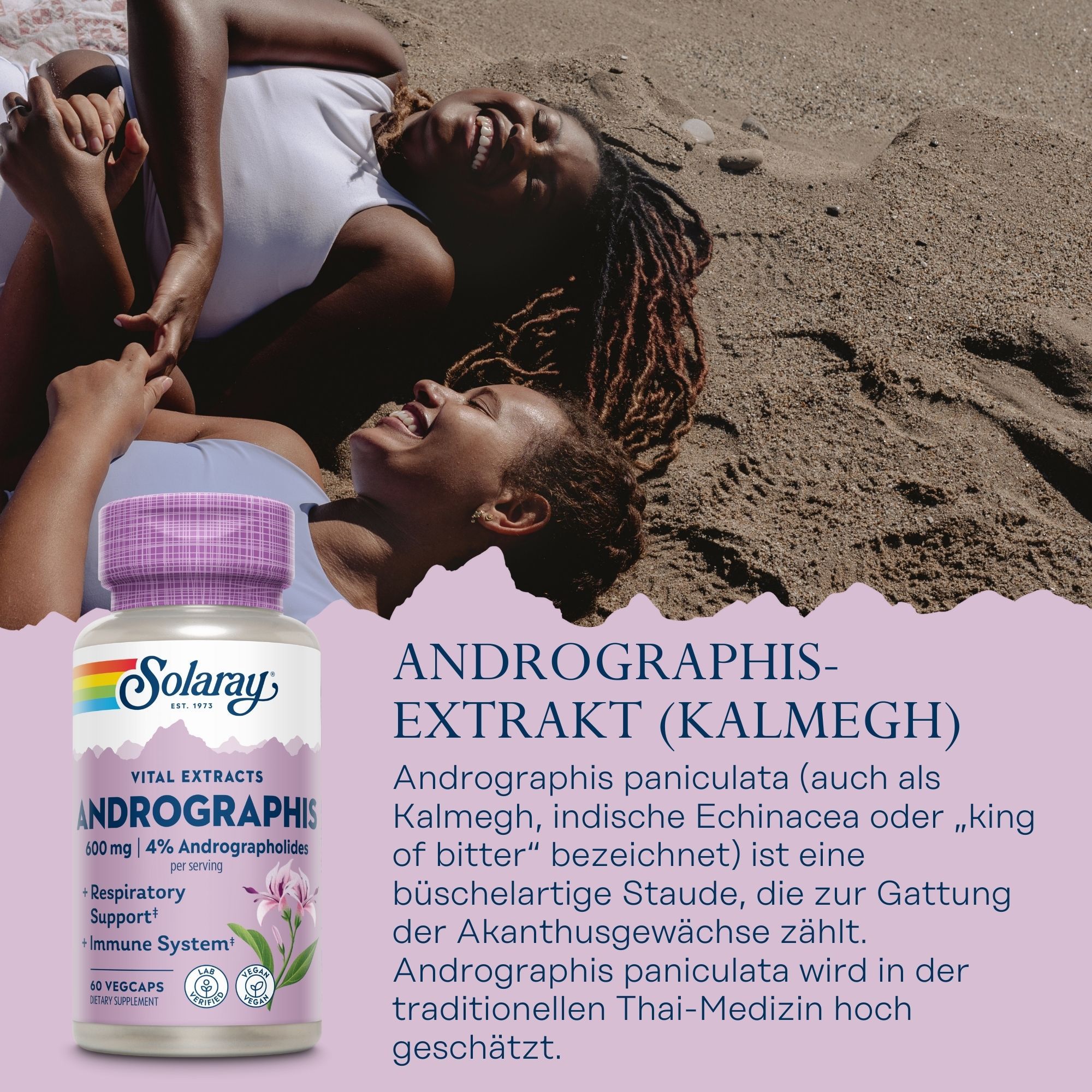 Solaray Andrographis-Extrakt Flasche. Lila Deckel, weißes Etikett mit Produktnamen, Logo und Inhaltsangaben. Hintergrund: Strand, Personen.